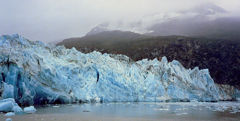 The Alarming Future We Face (Image Credits: Flickr)