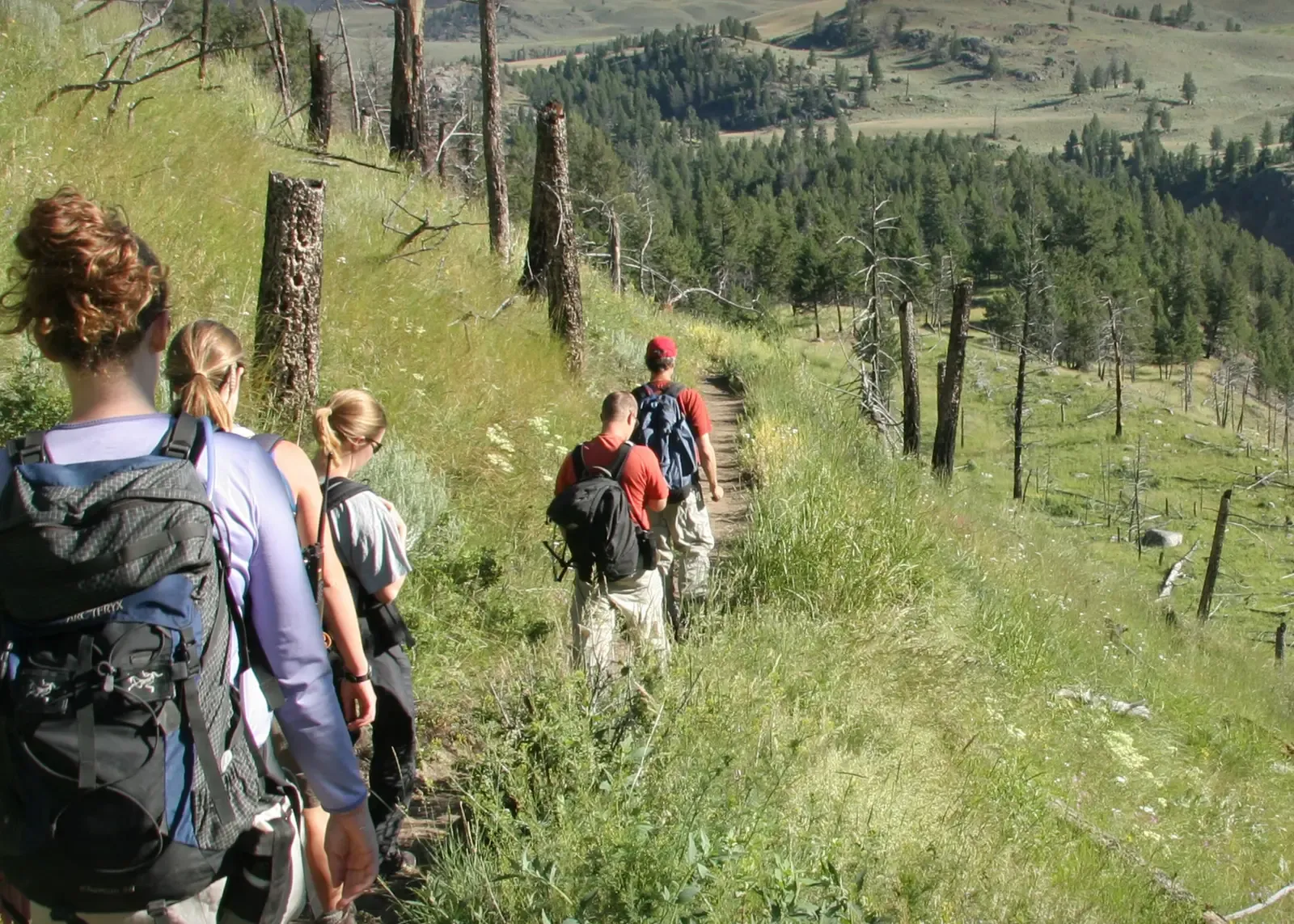 6. The Unknown Faces Behind Yellowstone’s Missing‑Person Statistics (Image Credits: Wikimedia)