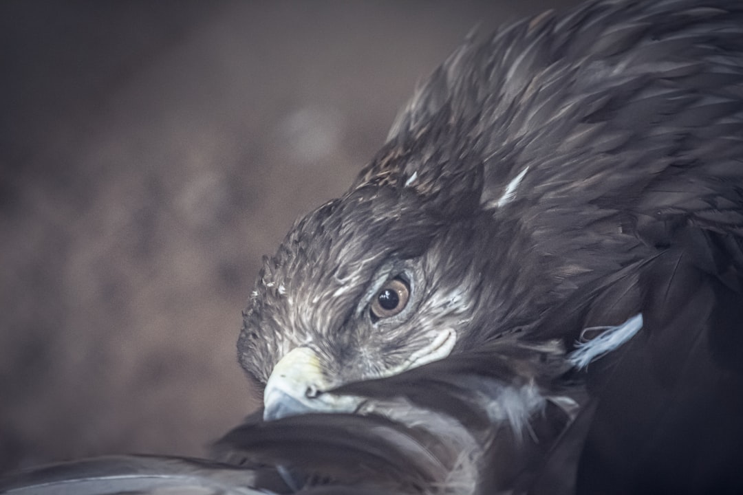 The Lead Poisoning Crisis and Solutions (Image Credits: Unsplash)