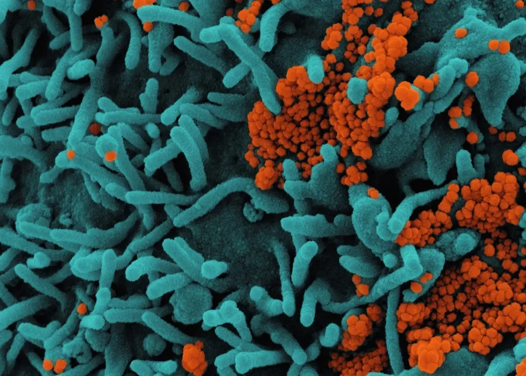 Oxygen as a Deadly Pollutant: Why Early Life Hated It (Image Credits: Unsplash)