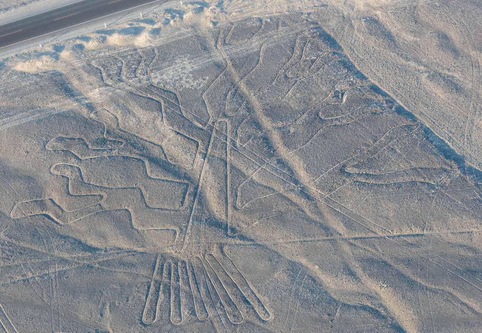 The Nazca Lines: Messages from the Past (Image Credits: Wikimedia)