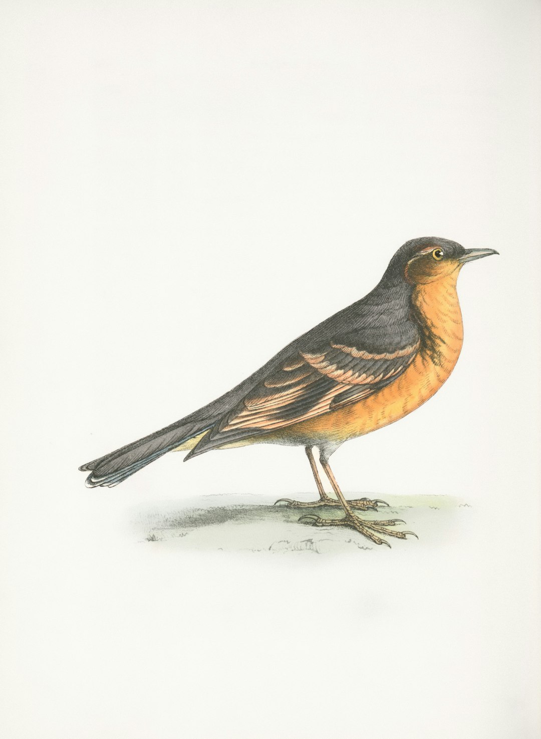 From Ancient Tools to Modern Science (Image Credits: Unsplash)