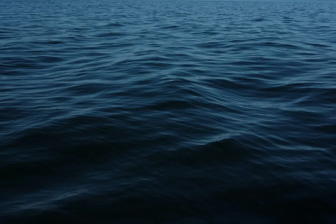 The Deepest Ocean Is a Permanent, Primordial Night (Image Credits: Unsplash)