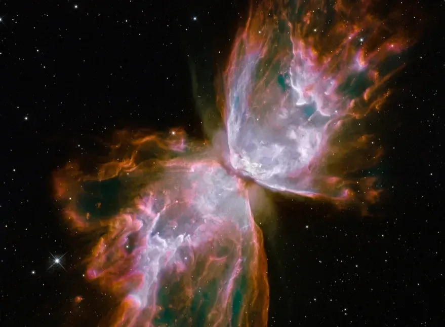 Emergent Laws: When Order Rises From Chaos (Image Credits: Rawpixel)