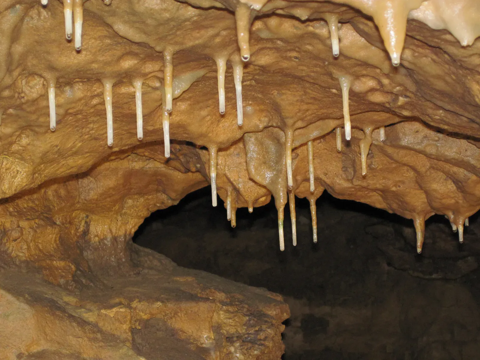 12. Natural Bridge Caverns’ “Soda Straws,” Texas: Growing Stone Icicles (Travertine soda straw stalactites in dolostone network cave (Crystal Cave, near Spring Valley, Wisconsin, USA) 9, CC BY 2.0)