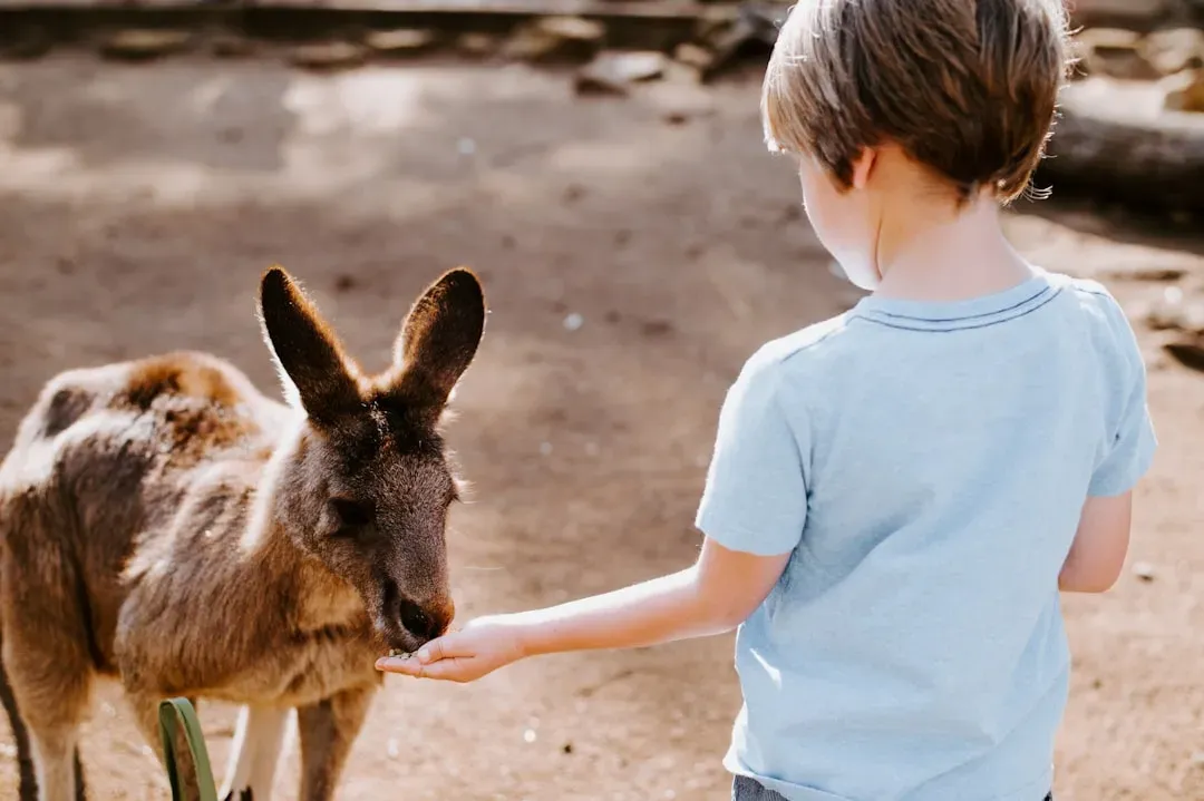 Risk, Safety, and Consequence: Animals as Real-World Teachers (Image Credits: Unsplash)