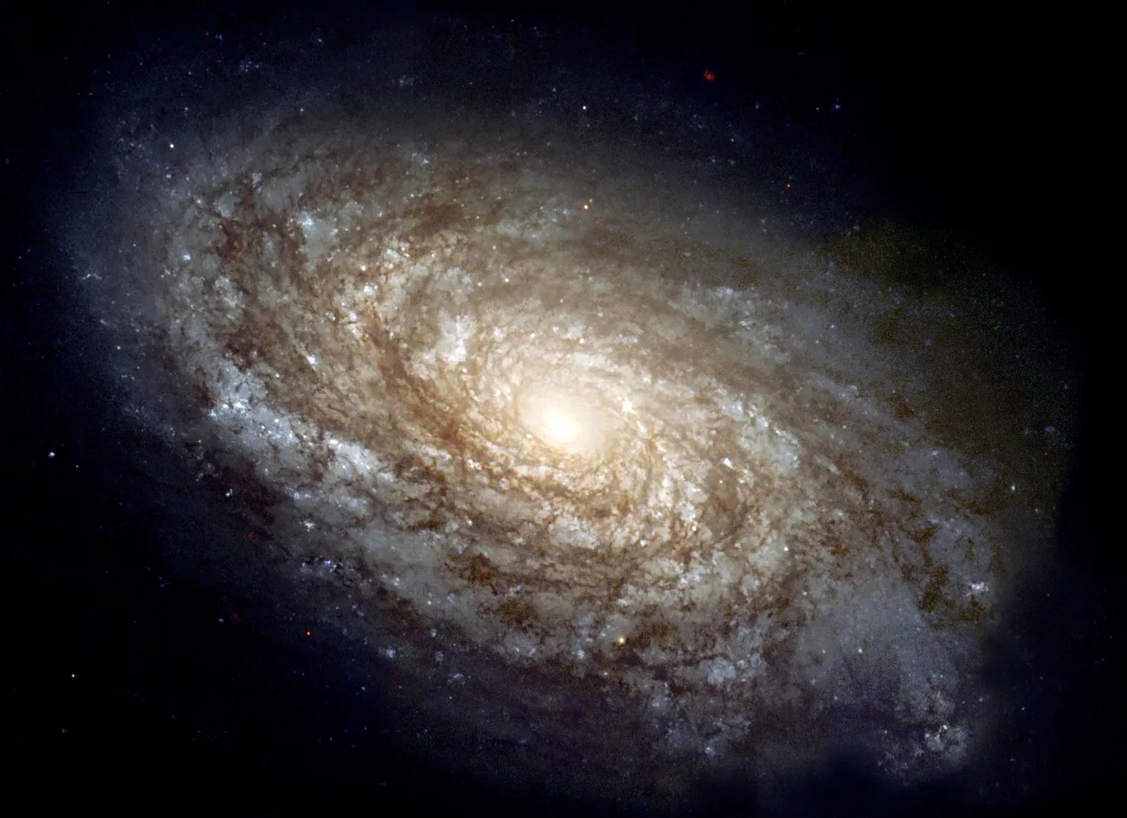 Galaxies Formed Earlier and Stranger Than We Expected (Image Credits: Wikimedia)