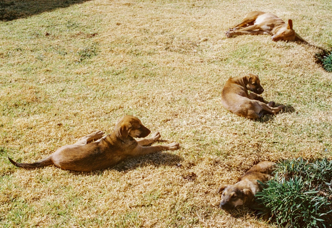 Earth s: Taurus, Virgo, Capricorn (Image Credits: Unsplash)