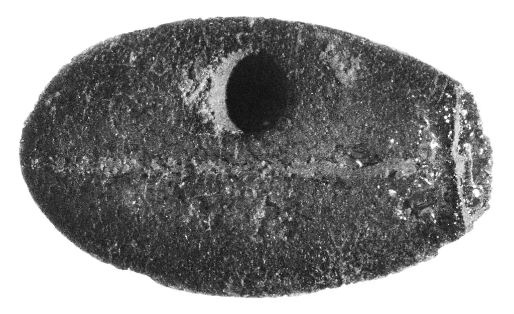 Why This Question Matters (Image Credits: Rawpixel)