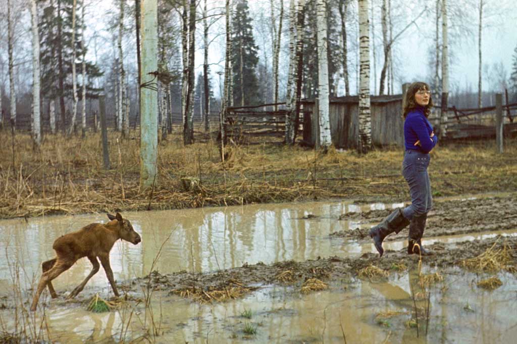 Compassion Archetypes: Water Signs (Image Credits: Wikimedia)