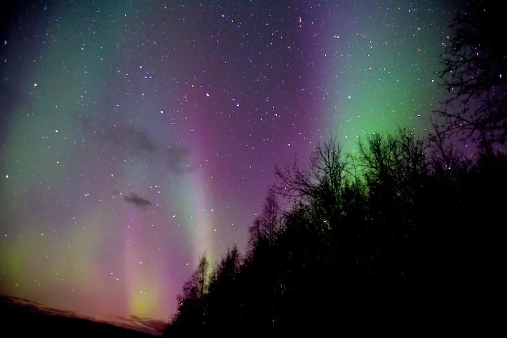 The Science of Color: Why Green, Red, and Purple Paint the Night (By Malcolm Manners, CC BY 2.0)