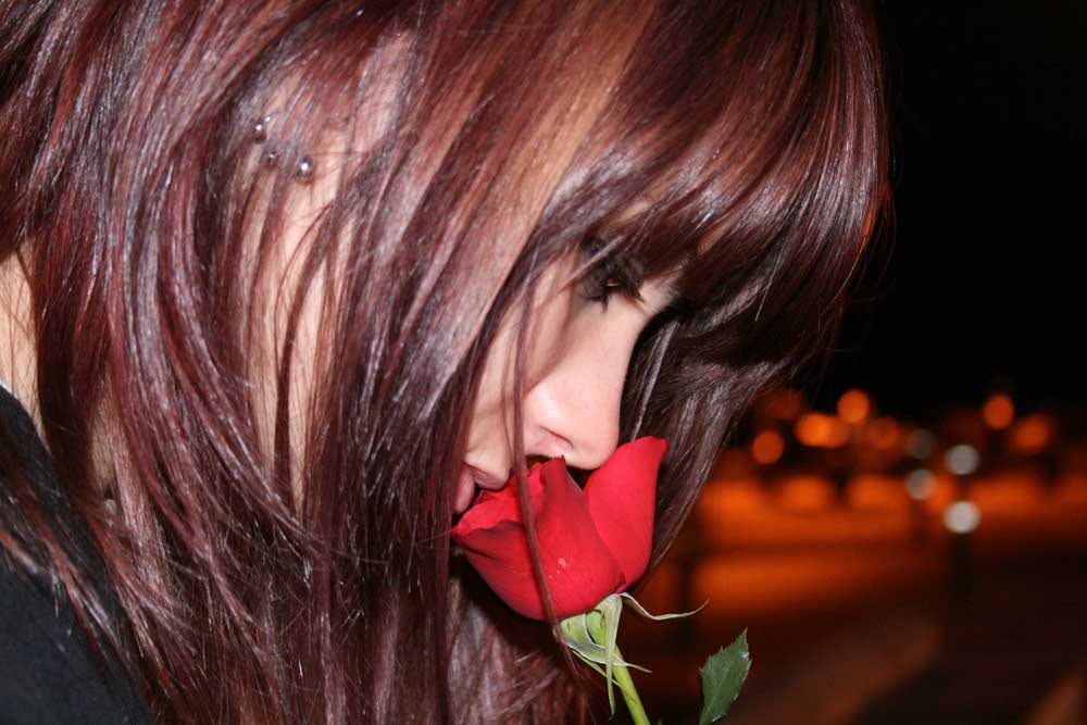 Conclusion: A Symphony of Sensations (Image Credits: Wikimedia)