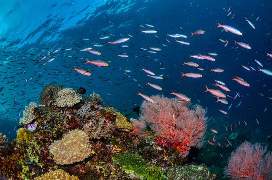 Ecosystems You Depend On Are Struggling to Keep Up (Image Credits: Pexels)