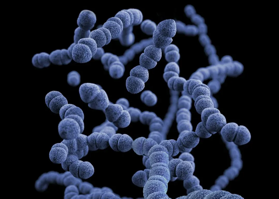 Human Microbiome Mysteries: The Invisible Organ We Barely Understand (Image Credits: Unsplash)