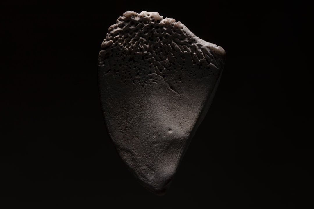 The Stealthy Space Visitor (Image Credits: Unsplash)