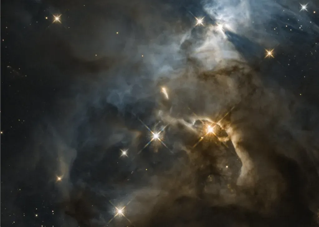 A Cloud of Gas, Dust, and Trouble: The Birthplace of the Solar System (Image Credits: Flickr)