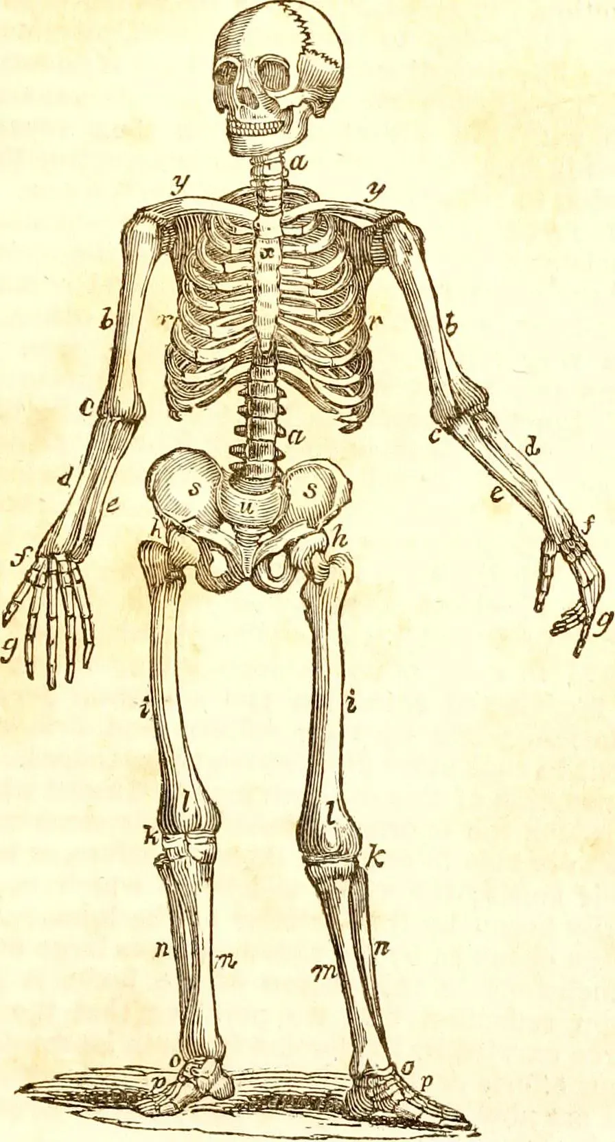 Why It Matters: Mental Health, Education, and a World of Endless Feeds (Image Credits: Wikimedia)