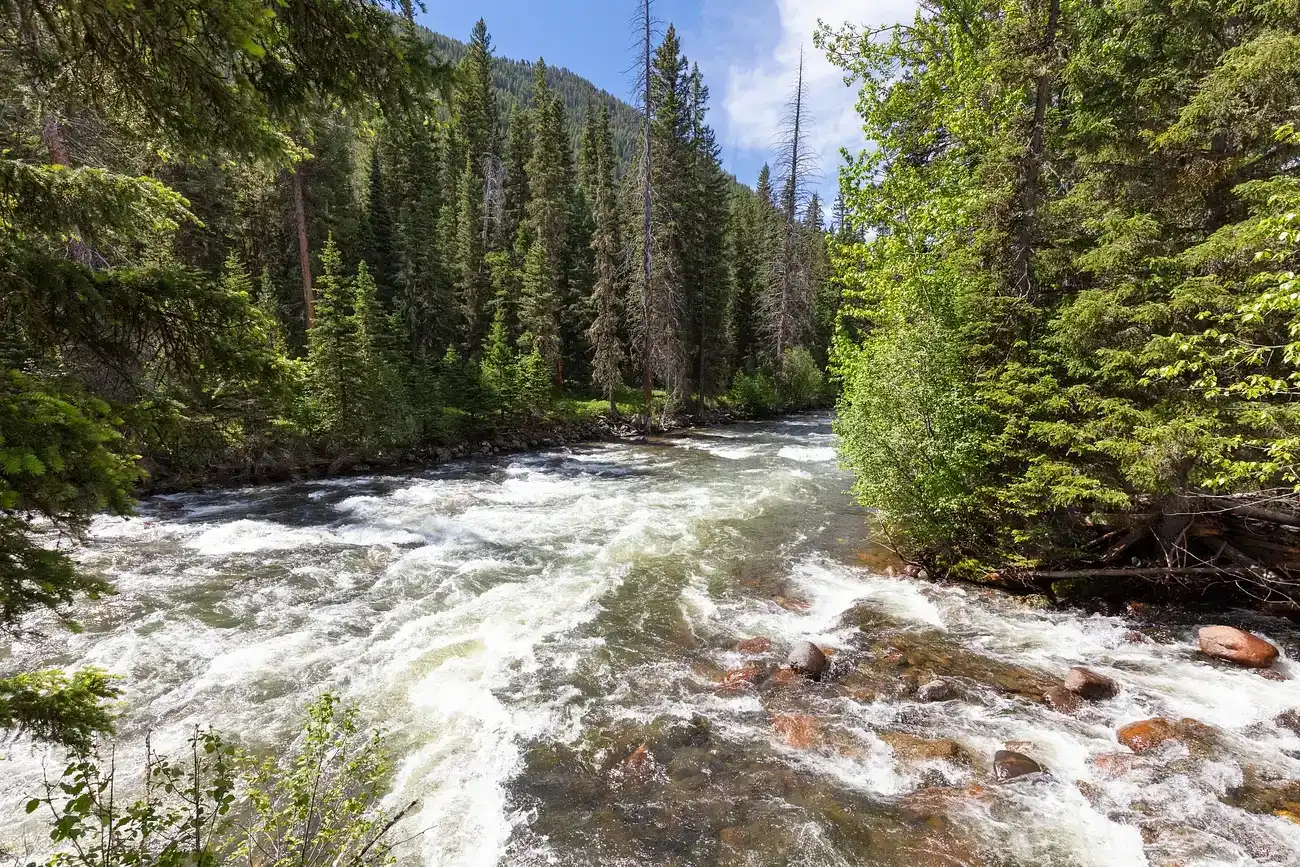 How You Can Engage: Listening, Learning, and Supporting Muscogee Futures (Image Credits: Rawpixel)