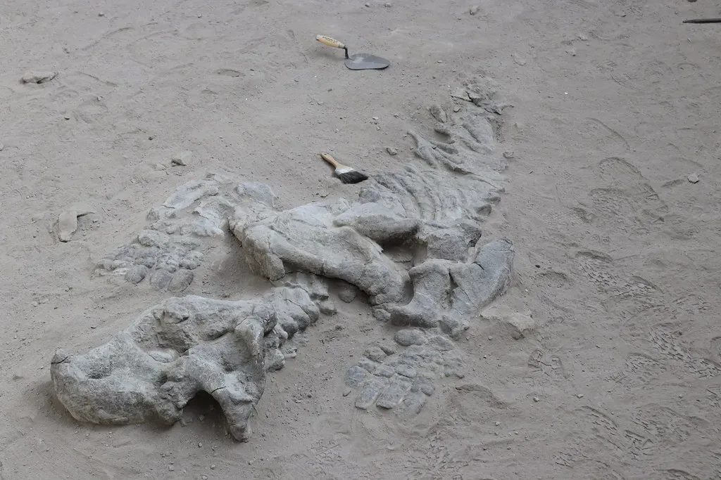 12. So Do Any Historical Creatures “Correspond Exactly” to Fossil Animals? (NH53, Flickr, CC BY 2.0)