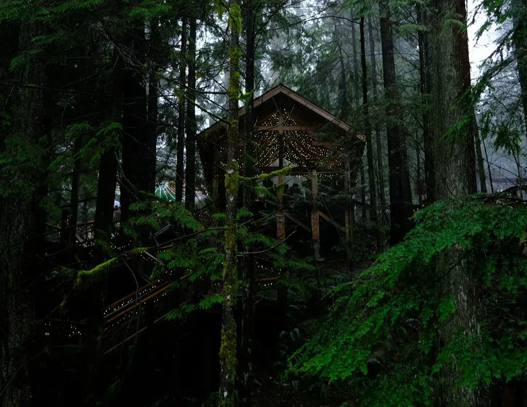 Scorpio: The Secretive Soul in the Deep Woods (Image Credits: Unsplash)