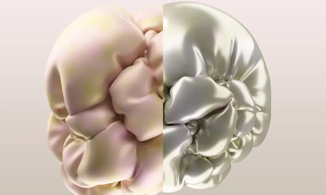 Neuroplasticity and Aging: It Does Not Stop at 40 (Image Credits: Unsplash)