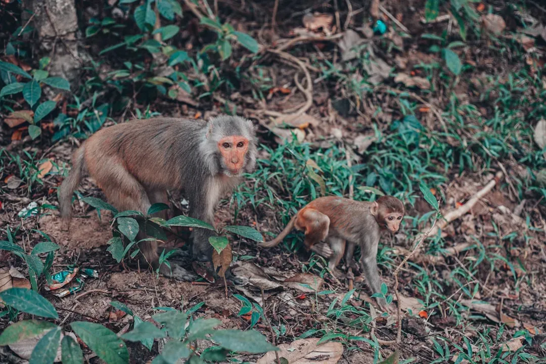 Fear, Joy, and Grief: What We See in the Wild and at Home (Image Credits: Unsplash)