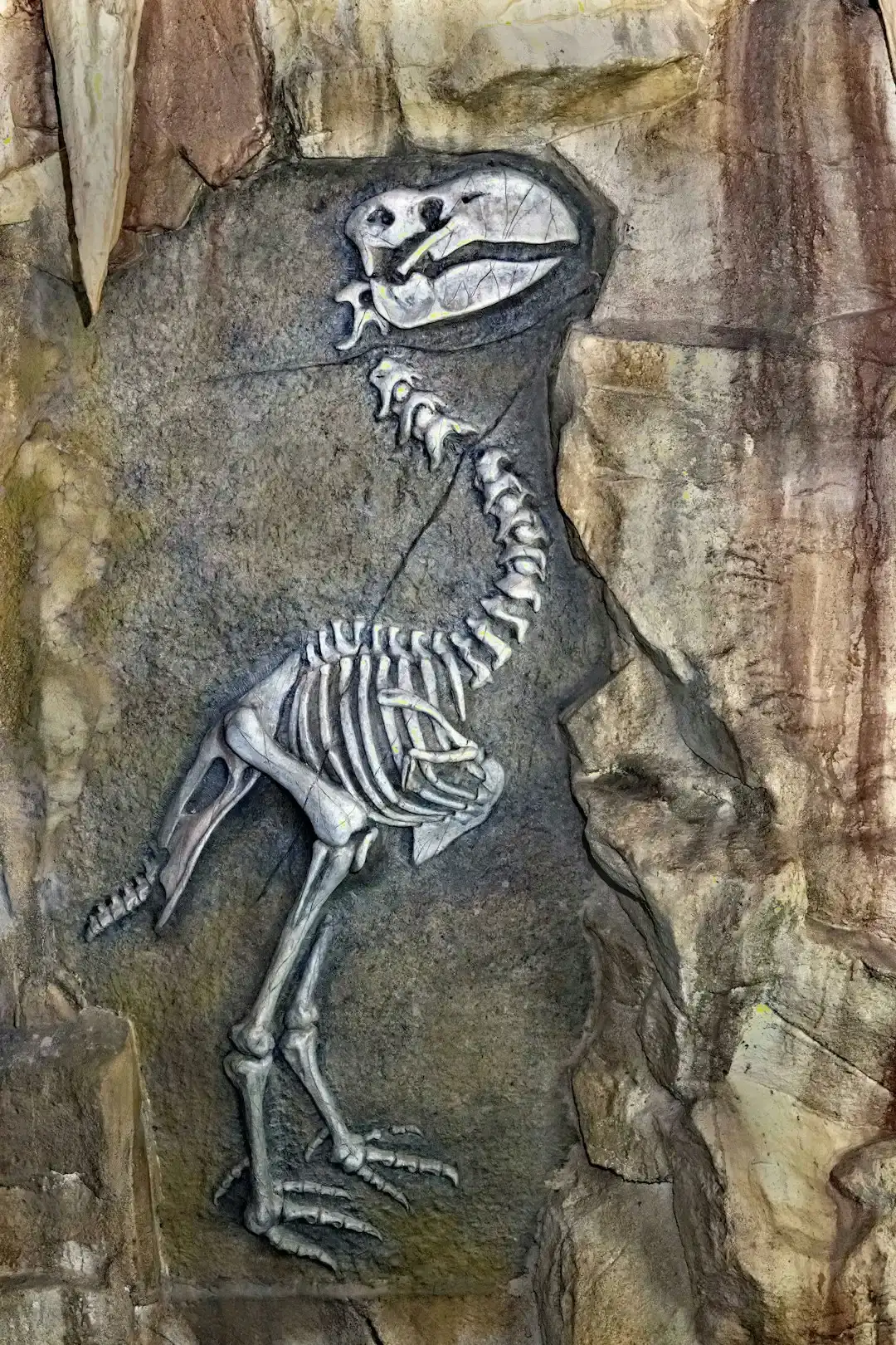 Heavy-Bodied Ground Birds As Surprisingly Ancient Relatives (Image Credits: Unsplash)