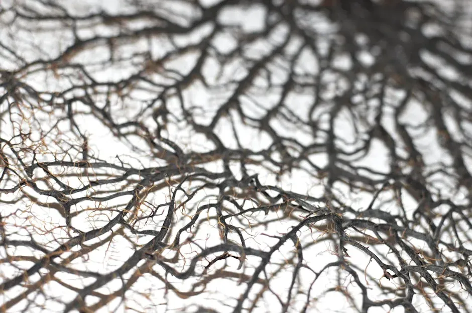 2. The Wood Wide Web: Underground Fungal Networks (Image Credits: Pexels)