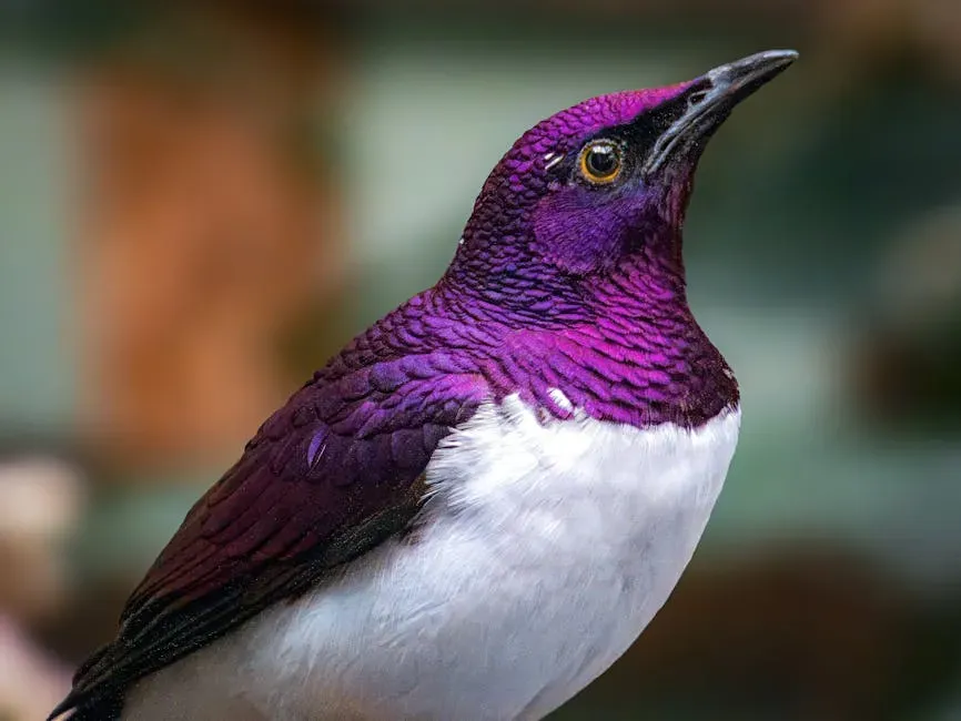 Birds Live in a Four-Color World (And See Hidden Patterns Everywhere) (Image Credits: Pexels)