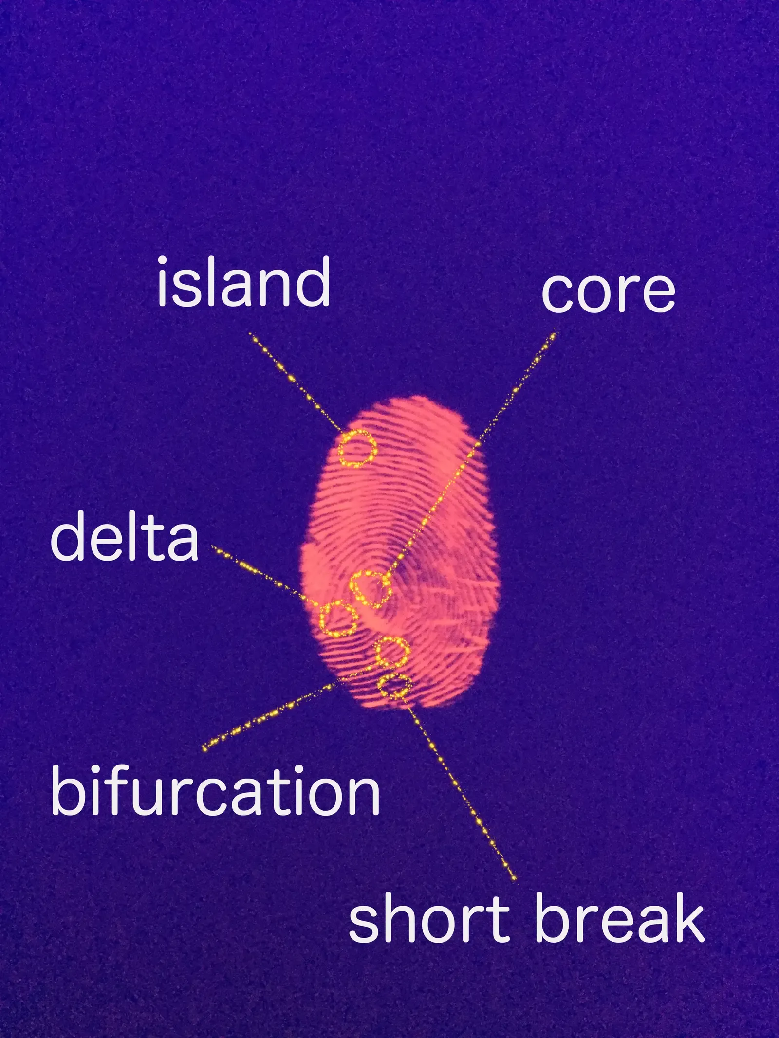 The Hidden Clues in Every Swirl and Loop (Image Credits: Wikimedia)