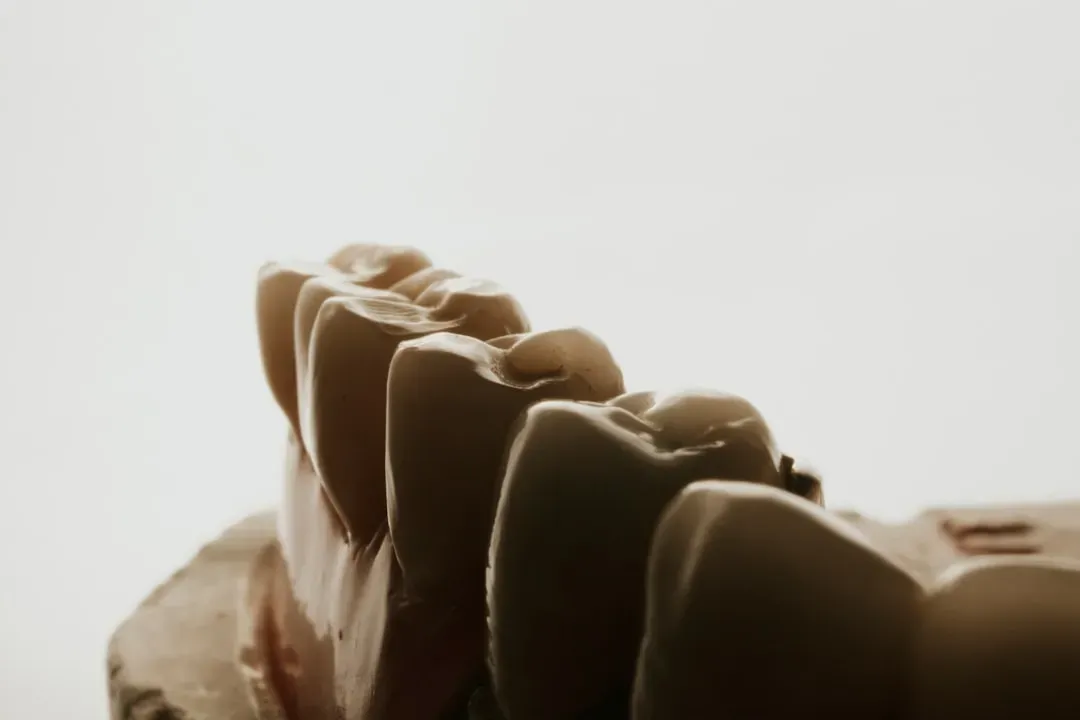 #9 - Teeth Reveal the Exact Age a Baby Was Weaned (Image Credits: Unsplash)