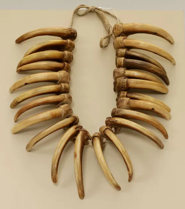 #11 - The Bear-Claw Necklace Filed Under the Wrong Continent (Nez Perce National Historical Park, NEPE 1990, Public domain)