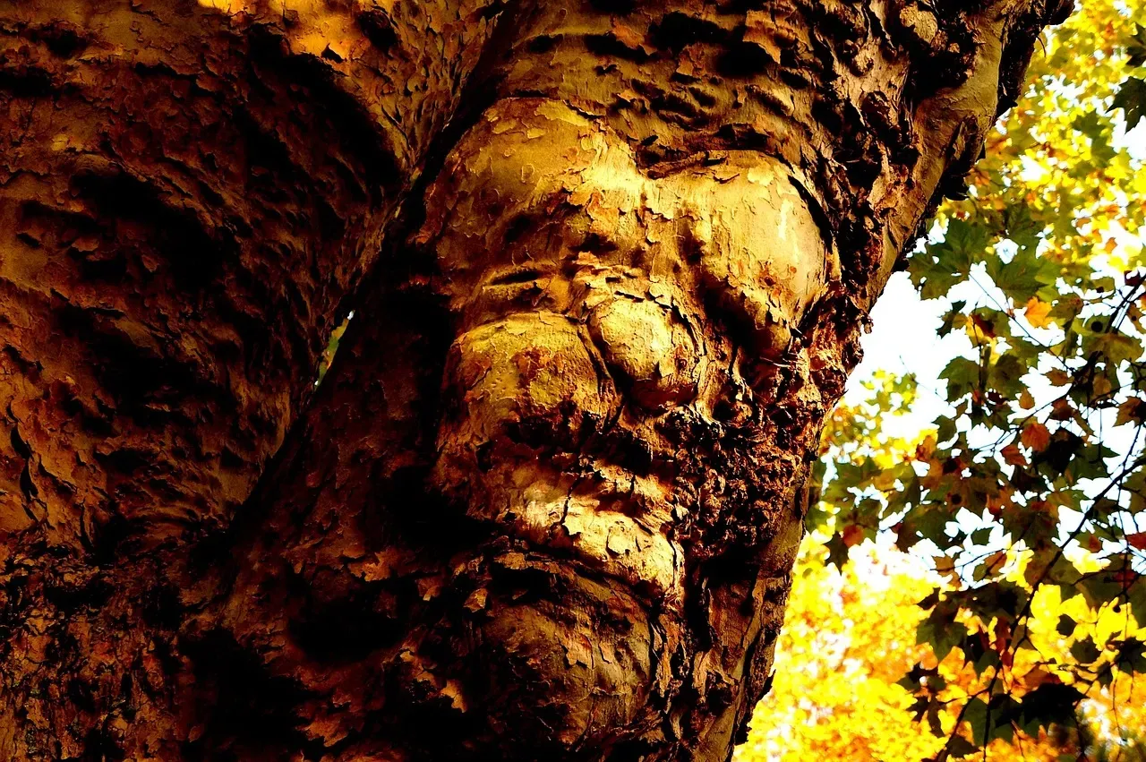 Conclusion: Our Haunted, Helpful, Overeager Brains (Image Credits: Pixabay)