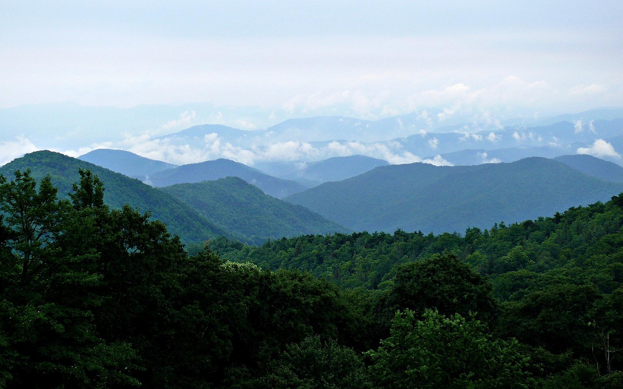 Blue Ridge Mountains, Virginia - Stream Bank Sanctuaries (Image Credits: Pixabay)