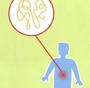 Gut Feelings, The Vagus Nerve, And That Drop In Your Stomach (Image Credits: Pexels)