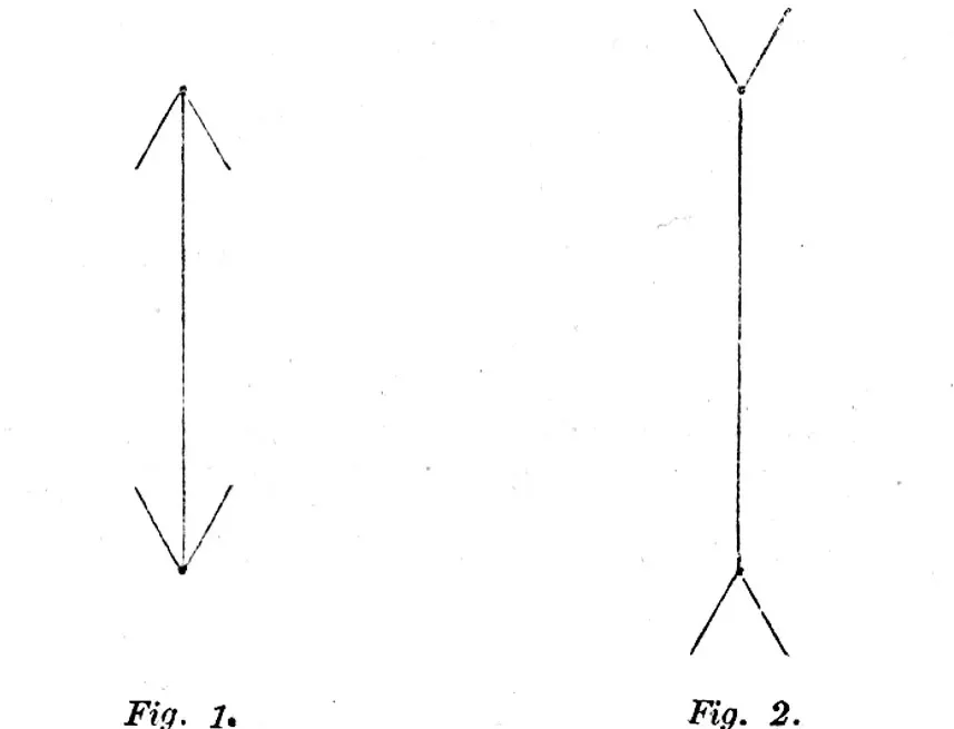 The Müller-Lyer Illusion: Why Arrows Trick Your Sense of Size (Image Credits: Wikimedia)