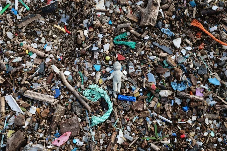#9 Microplastic and Chemical Footprints in the Environment (Image Credits: Pexels)