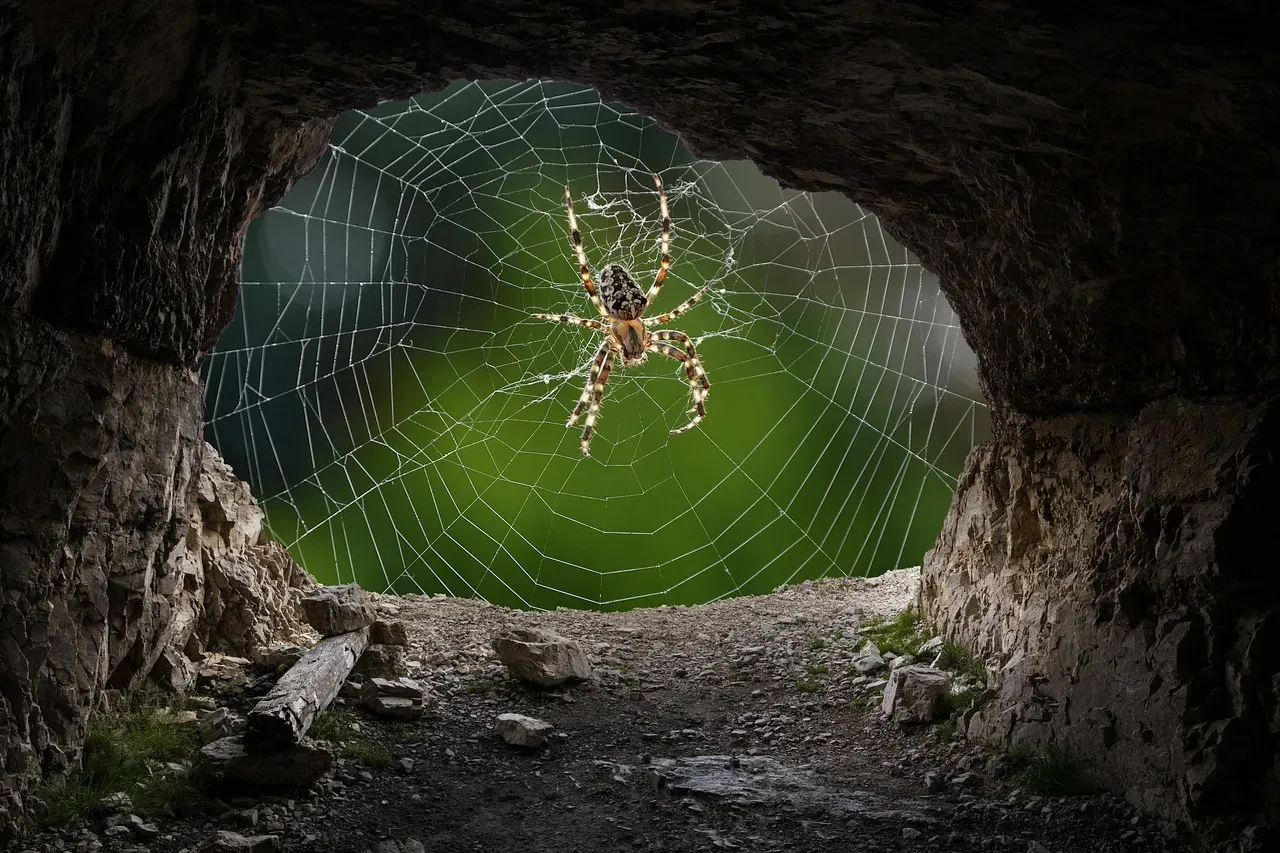 A Spider Metropolis Born from Sulfur (Image Credits: Pixabay)
