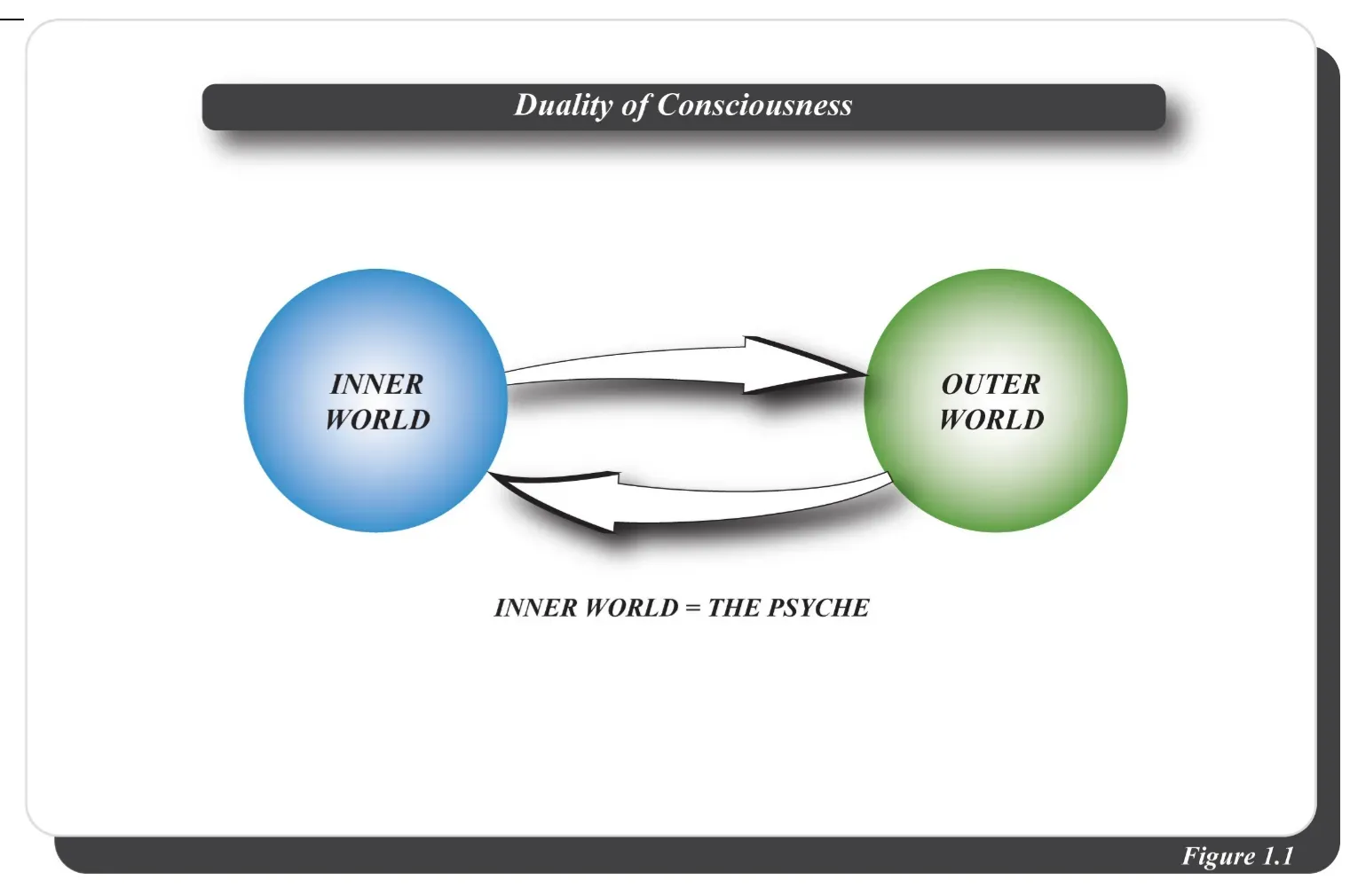 Why It Matters Far Beyond the Lab (Image Credits: Wikimedia)