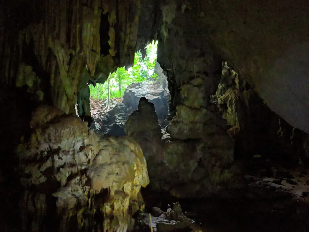 Son Doong Cave: A Jungle Growing Underground in Vietnam (Image Credits: Unsplash)