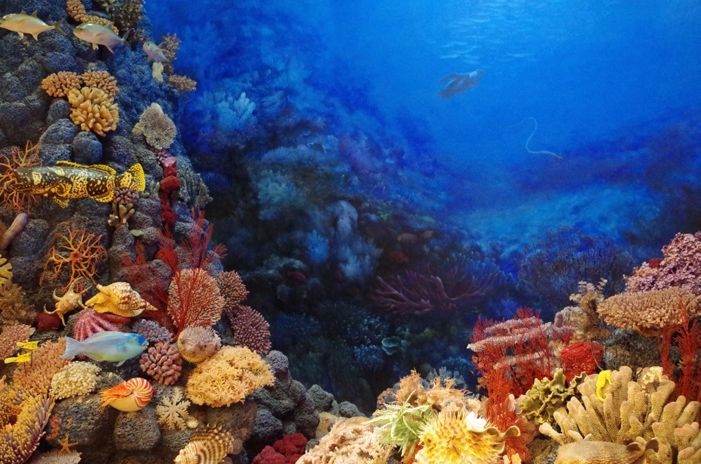 The Deep-Sea Discovery That Changed Everything (Image Credits: Rawpixel)