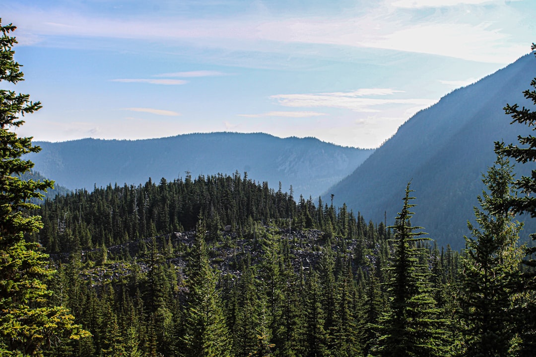 Why It Matters (Image Credits: Unsplash)