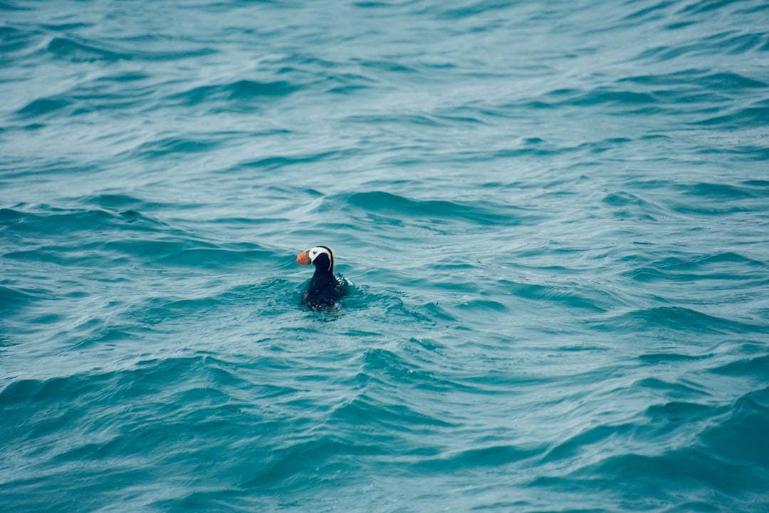 Essential Fish Species Moving Away (Image Credits: Unsplash)