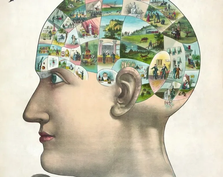 From Localized “Memory Boxes” to Distributed Patterns (Image Credits: Rawpixel)