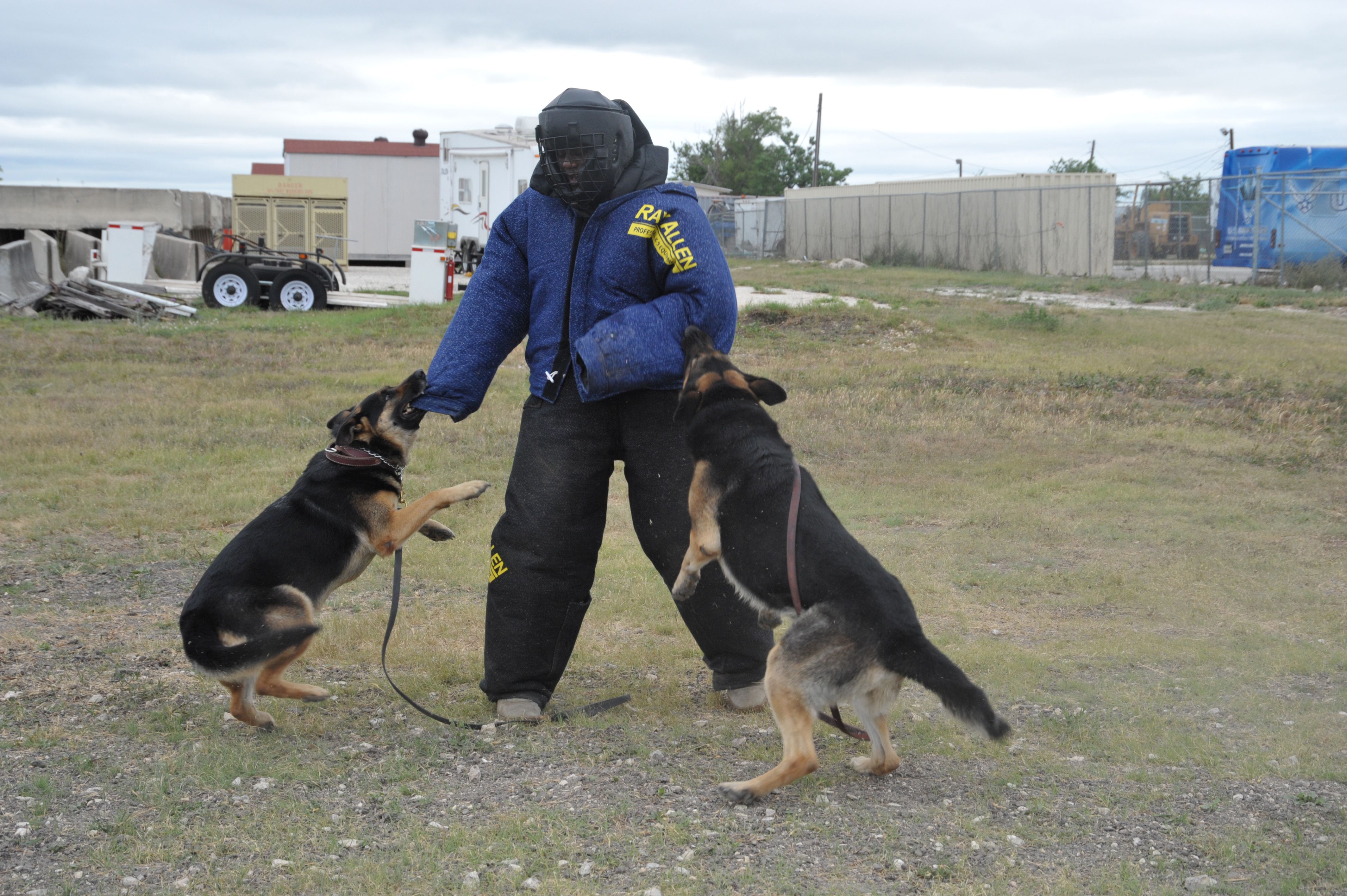 From Ancient Symbols to Modern Science (Image Credits: Wikimedia)