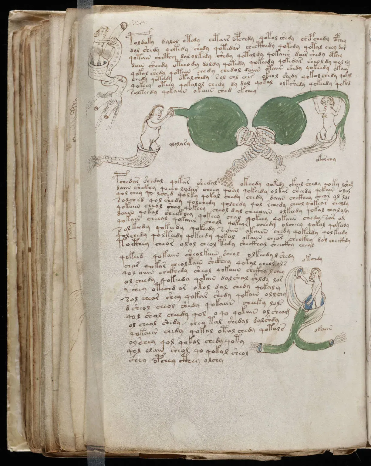 5. The Voynich Manuscript: A Book in a Lost Language (Beinecke Rare Book & Manuscript Library, Yale University ([1])., Public domain)