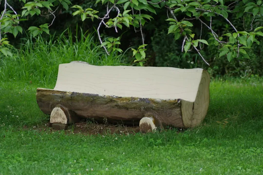 A Roman Log Coffin in Poland Redefines a Whole Burial Tradition (Image Credits: Unsplash)