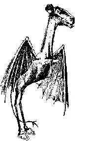 #6 - The Jersey Devil: Folklore That Outgrew Its Zip Code (Public domain)
