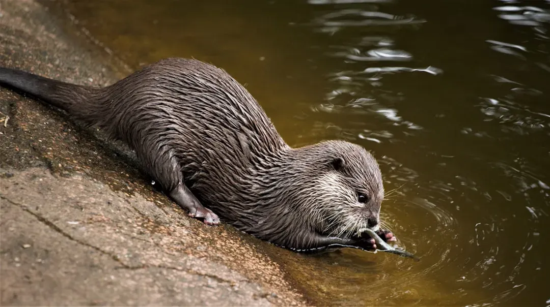 How Their Comeback Reveals Hidden Pollution Stories (Image Credits: Unsplash)