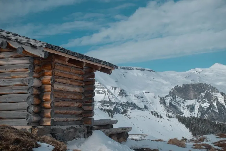 #7 - Alpine Log Houses That Outlived The Families Who Built Them (Image Credits: Pexels)